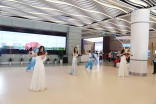 舟山欢迎你 全新旅游咨询服务中心，开启群岛畅游新篇章